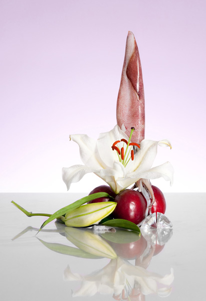 http://www.sarcmophie.ch/files/gimgs/28_naturemorte.jpg